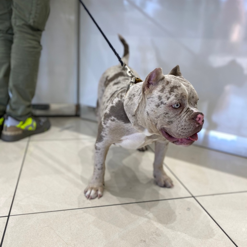 Meet your Posher, Amber